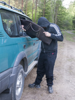 Våbentyveri